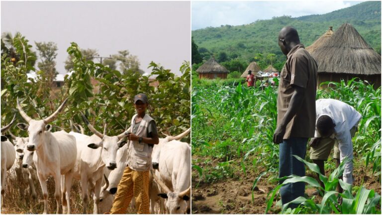 farmers-herders-crises