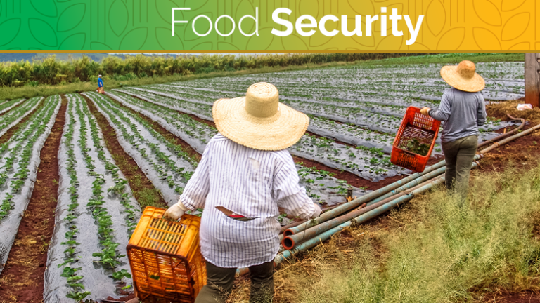 blog-food-security2